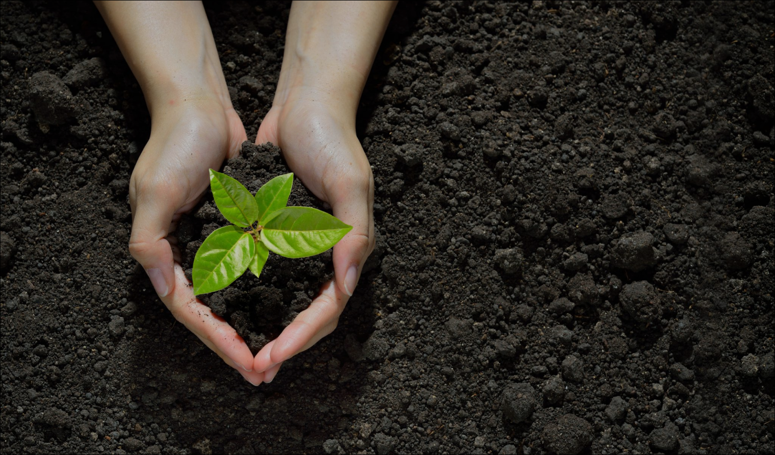 smecapital-blog-title-May-08-2024-02-49-13-1122-PM